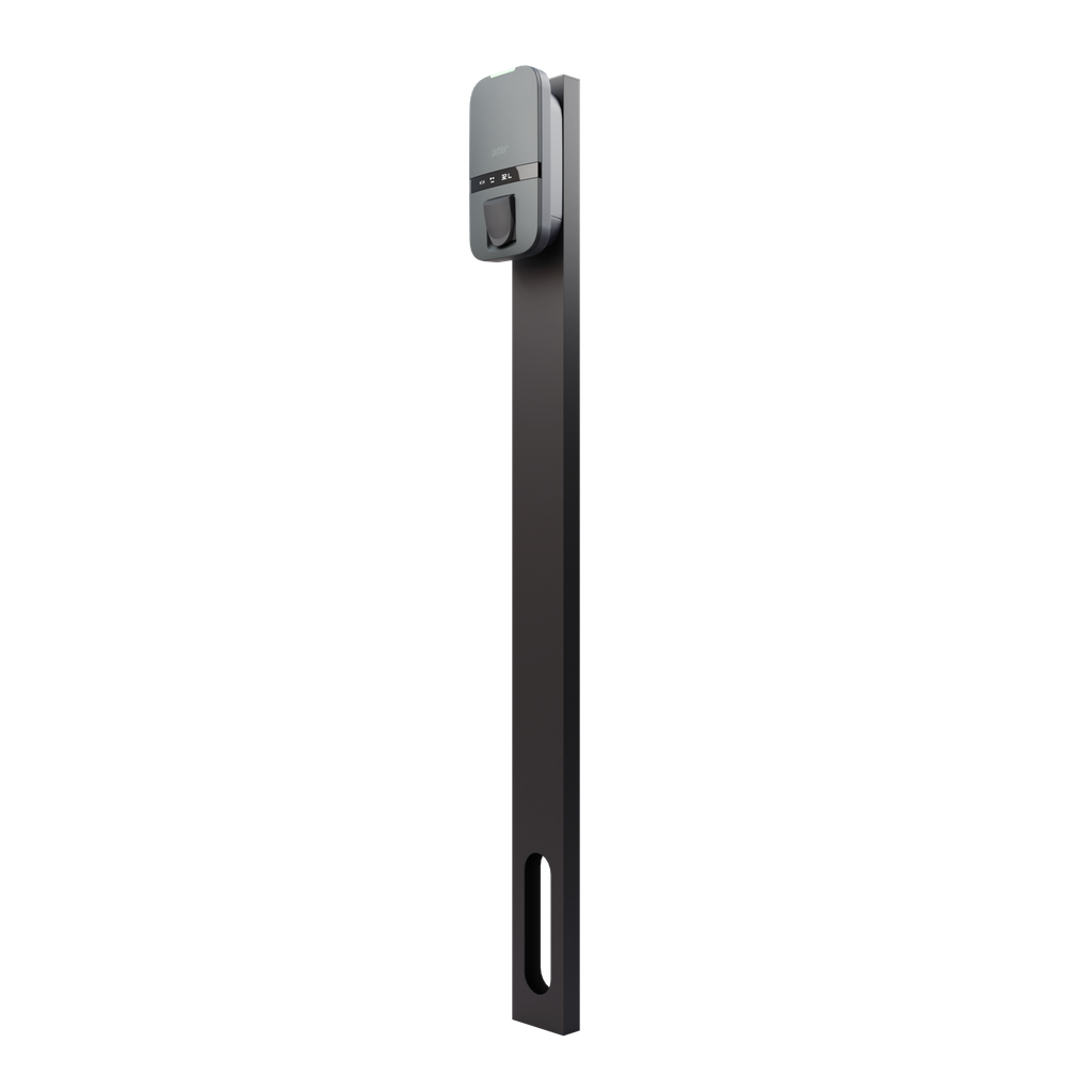 PEBLAR DUAL POLE GROUND