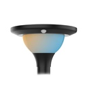 SOLAR STRAATLAMP 15W CCT (3000K - 4000K - 6000K) IP65 + DETECTOR IR