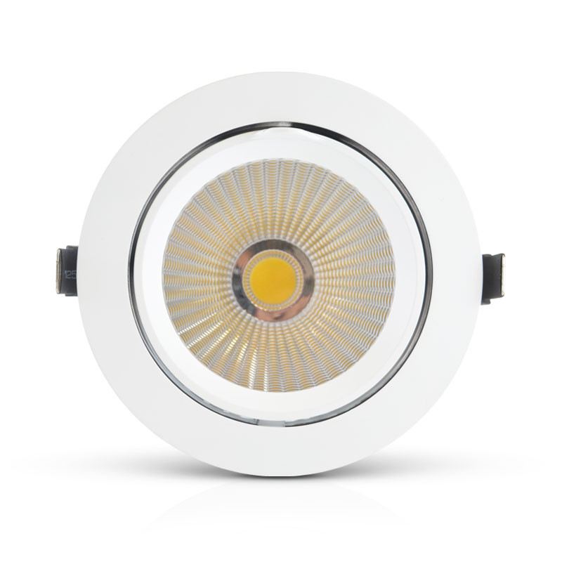 LED-Slakvorm Spotlight, richtbaar en roteerbaar 40W 4000K + Voeding