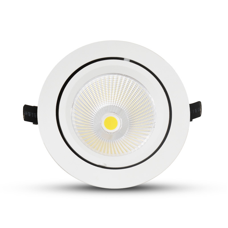 LED-Slakvorm Spotlight, richtbaar en roteerbaar 60W 4000K + Voeding