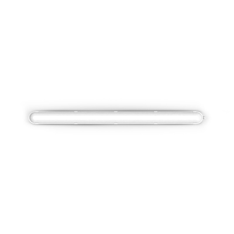 images/products/2498/31797