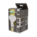 LED lamp R80 E27 10W 3000K mat