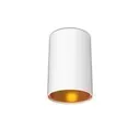 Spot Opbouw GU10 (zonder lamp) cilinder Wit / Gouden