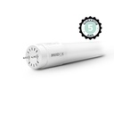 Tube LED T8 6W 4000K 600 mm P/N même côté + Starter - GARANTIE 5 ANS