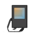 LED FLOODLIGHT BLACK 30W CCT IP65