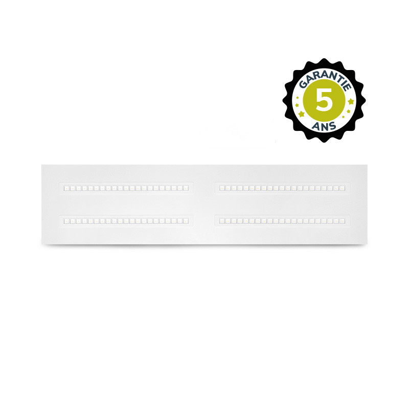Plafonnier LED Blanc CEE 295 x 1195 mm 30W 4000K DALI/PUSH - ENEC - Garantie 5 ans