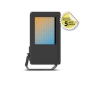 LED FLOODLIGHT BLACK 100W CCT IP65 LUMOS PRO - 5 YEAR WARRANTY