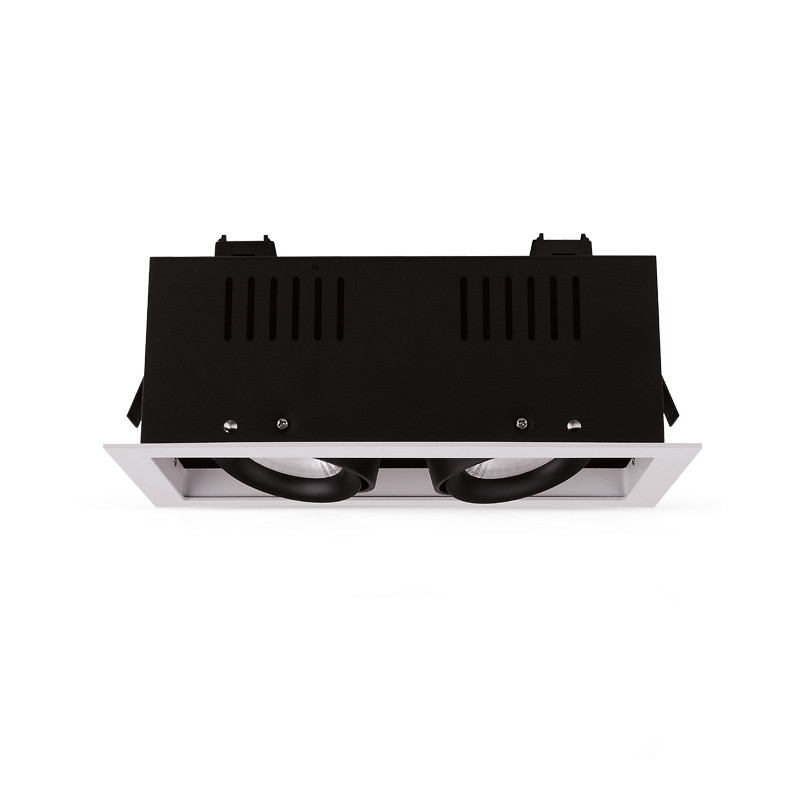 DOWNLIGHT-SPOT-CARDAN-2x10W-4000K 