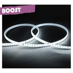 [100734] HASPEL LED 2835 - 50 METER - 6000K 8W/M 230V IP65